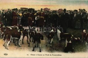 Chasse á Courre en Forét de Fontainebleau / hunters with hunting dogs (EK)