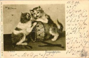 1899 Cats fighting over a drum, A. Ackermann Kunstverlag - Künstlerpostkarte No. 459, s: A. Dreher