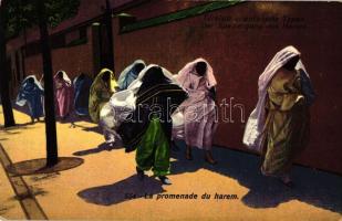 Türkisch-orientalische Typen, La promenade du harem / Turkish folklore