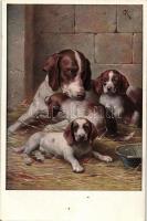 Dog and puppies, T.S.N. Serie 1544., s: CR