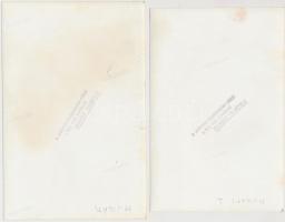 cca 1940 Muráti Lili (1912-2003) színésznő otthonában, Rozgonyi pecséttel jelzett vintage felvételei...