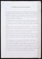 Morvai Ferenc. Jelentés a Megamorv Petőfi Expedíció eddig végzett munkájáról, további elképzeléseirő...