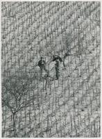 cca 1975 Zsigri Oszkár: Tavaszi beszélgetés, pecséttel jelzett vintage fotóművészeti alkotás, 24x18 cm