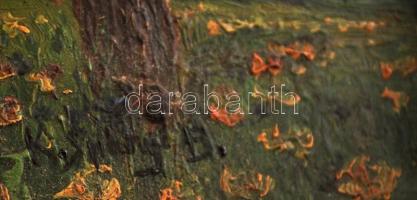 Spányi jelzéssel: Nyáridőn, olaj, fa, díszes keretben, 24×32 cm