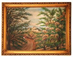Krizsán jelzéssel: Erdőszéli út, olaj, vászon, díszes fa keretben, 49×70 cm