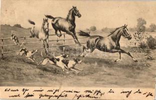 Horses and dogs, M. Munk No. 222 (r)