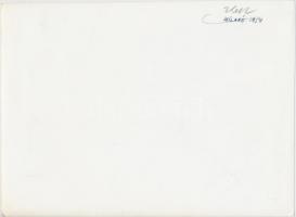 1954 Magyar termékek bemutatója Milánóban és Frankfurtban, 2 db feliratozott fotó, 17x23 cm