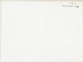 1954 Magyar termékek bemutatója Milánóban és Frankfurtban, 2 db feliratozott fotó, 17x23 cm