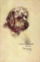 Dandie Dinmont terrier, Raphael Tuck & Sons Oilette Sketchy dog studies 9977. s: Maud West Watson