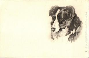 Dog, Raphael Tuck & Fils Serie 134. (EK)