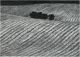 cca 1970 Gebhardt György (1910-1993): Mezőgazdasági táj, feliratozott, aláírt vintage fotóművészeti alkotás, 17x24 cm