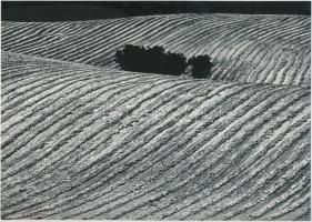 cca 1970 Gebhardt György (1910-1993): Mezőgazdasági táj, feliratozott, aláírt vintage fotóművészeti alkotás, 17x24 cm