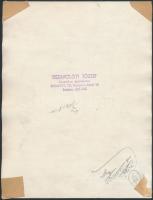 cca 1960 Tiszavölgyi József (1909-?) pecséttel jelzett vintage fotóművészeti alkotása, 22x17 cm