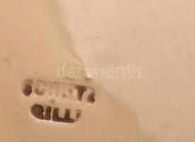 Schütz Cilli: Virágos dísz falitányér, kézzel festett mázas fajansz, jelzett, jó állapotban, d: 25,5...