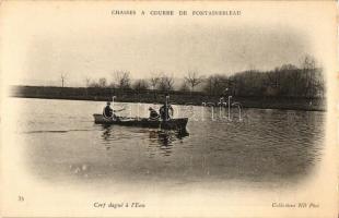 Chasses a Courre de Fontainebleau, Cerf dague a lEau / Deer hunting, deer capturing in the water