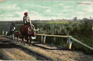 Burmese farmer