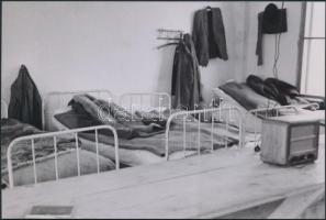 cca 1951 Épül Sztálinváros és a Dunai Vasmű, Rózsa György fotóriporter hagyatékában levő, 13 db kora...