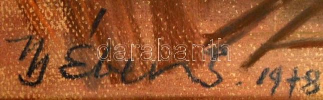 ifj. Éber Sándor jelzéssel: Tavaszi fűzés, pasztell,keretezve két üveg között, 54x74cm