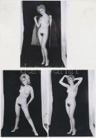 cca 1970 Nagy bundában kis bunda, 7 db finoman erotikus fénykép, 13x9 cm /
cca 1970 7 erotic photos...