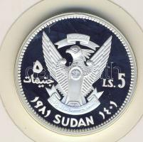 Szudan 1981. 5LS Ag "Gyermekév" T:PP R!