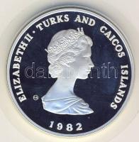Turcs és Caicos Szigetek 1982. 10Cr Ag "Gyermekév" T:PP RR! Csak 7928db!