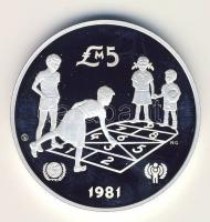 Malta 1981. 5LM Ag "Gyermekév" T:PP R!