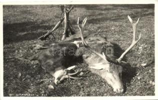 1930 Weidmannsheil / Hunted deers, guns, photo