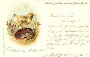 1899 Easter, chicken. Gebrüder Obpacher Serie XXIV. No. 17481. litho