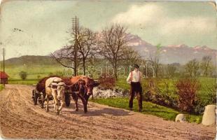 8 db RÉGI motívum képeslap, mezőgazdasági témájú, aratás, cséplés, vegyes minőség / 8 old motive postcards, agricultural theme, harvesting, thresing, mixed quality