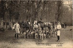 Une Chasse a Courre dans la Forét de Dreux - La Meute / Hunting hounds in Dreux forest - The pack