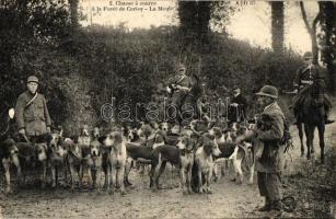 Chasse a courre á la Forét de Cerisy - La Meute / Hunting with hounds at Cerisy Forest, the pack of dogs and hunters