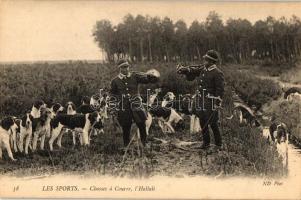 Les sports - Chasses a Courre, lHallali / Hunting dogs, hunters announces with horn that the beast is on its way