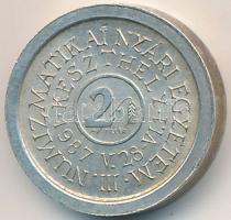 Bogár Lívia (1957-) 1987. MÉE-Keszthely / III. Numizmatikai Nyári Egyetem jelzett Ag emlékérem (3,6g/0.835/15mm) T:1-
