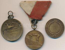 1945. "Weiss Manfred Vállalatok Testedző Köre / 1945" Br díjérem mellszalagon. Szign.: Fon...