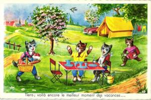 Cat picnic, modern postcard