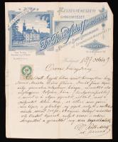 1897 Bp., Dr. Roth Adolf, a Testegyenészeti Gyógyintézet intézetvezető főorvosa által kiállított orvosi bizonyítvány, díszes fejléces papíron, 50 kr okmánybélyeggel