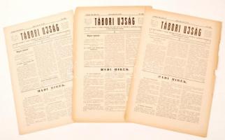 1915 Przemyśl, Tábori Újság, a 23. honvéd gyalogezred által Przemyśl első és második ostroma alatt naponta-kétnaponta megjelentetett újság 87-89. lapszáma (január)