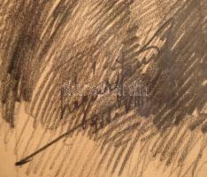 Olvashatatlan jelzéssel: Idős asszony portréja, ceruza, papír, üvegezett, sérült fa keretben, 25,5×1...