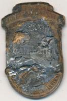 Osztrák-Magyar Monarchia 1914-1918. "Fel fel vitézek a csatára - 307. Honvéd Gyalogezred" ...