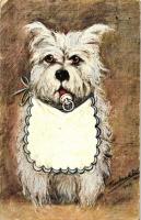 15 db RÉGI motívum képeslap, kutyák, több humoros lappal, vegyes minőség / 15 old motive postcards, ...