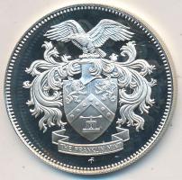 Amerikai Egyesült Államok 1979. "Franklin Verde Éremgyűjtő Egyesület" Ag emlékérem (6.84g/...