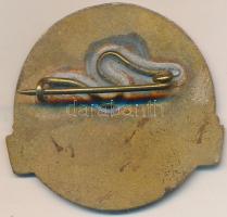 ~1980. "Az Egészségügy Kiváló Dolgozója" zománcozott fém jelvény (30x32mm) T:2