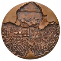 ~1980. "Bácskai és Dunamelléki Tejszöv Baja" Br emlékérem (70mm) + "Állami Gazdaságok...