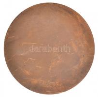 ~1980. "Bácskai és Dunamelléki Tejszöv Baja" Br emlékérem (70mm) + "Állami Gazdaságok...