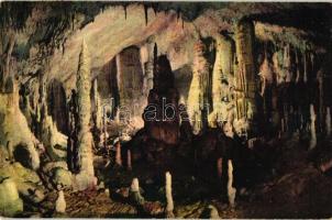 Postojnska jama (Adelsberger Grotte); New Cave interior
