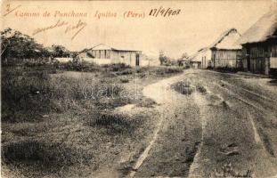 Punchana-Iquitos Camino / road