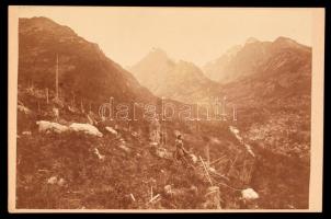 1875 Tátra, Tarpatakvölgy a Nyergecskéről Divald Károly keményhátú fotó. / Tatra vintage photo 16x11 cm