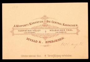 1875 Tátra, Tarpatakvölgy a Nyergecskéről Divald Károly keményhátú fotó. / Tatra vintage photo 16x11...