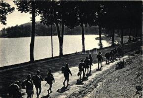 5 db megíratlan, régi katonai témájú motívumlap, díszszemle, katonazenekar / 5 old, unused military ...