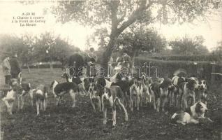 Chasse á courre á la Forét de Cerisy - La Meute / Cerisy forest, hunting dogs, the Pack